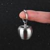 Stainless Steel Pill Case Apple Shape Mini Portable Stainless Steel Metal Small Medicine Box Sealed Jar Keychain Pendant