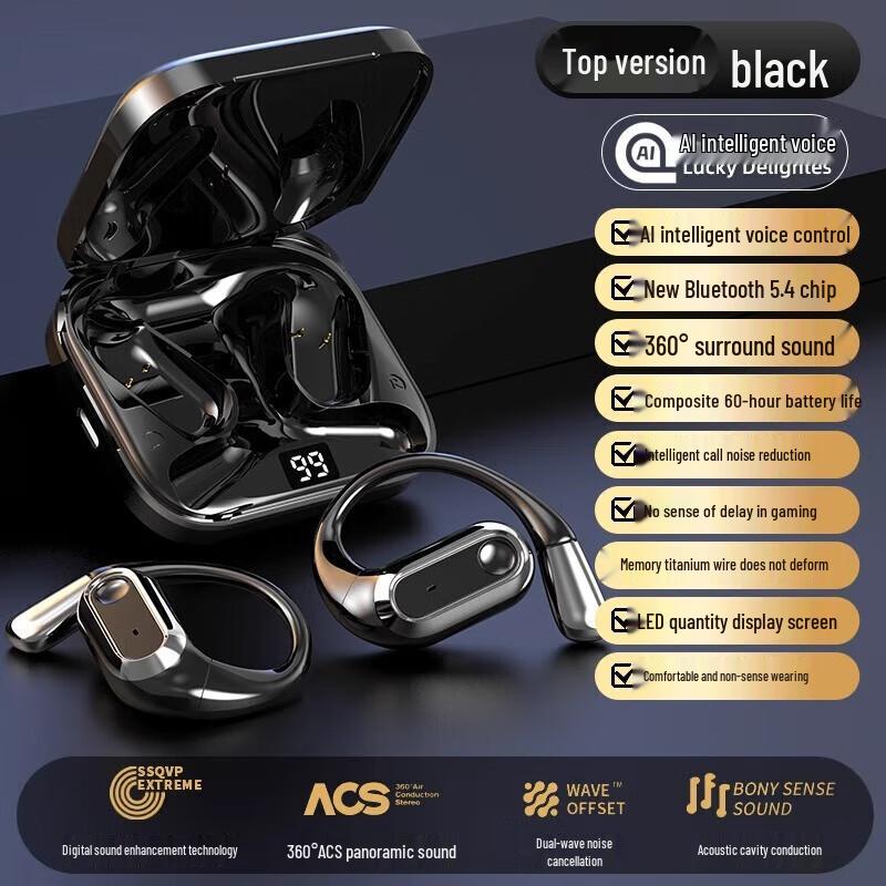SR 2025 Bone Conduction Open-Ear Sports Bluetooth Earphones