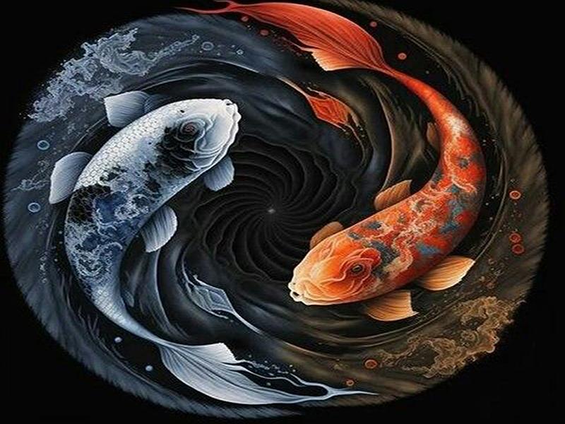 Yin-yang Animal Personality DIY Full Drill Diamond Decorative Painting