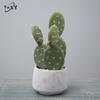 Simulated Cactus Fleshy Potted Office Decoration Fake Cactus Cement Retro Small Bonsai
