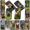 Soft Cover for Samsung Galaxy S25 S24 S23 FE Plus Ultra S7 Edge A16 A15 5G s25+ Coque Phone Case Wild Boar Pig