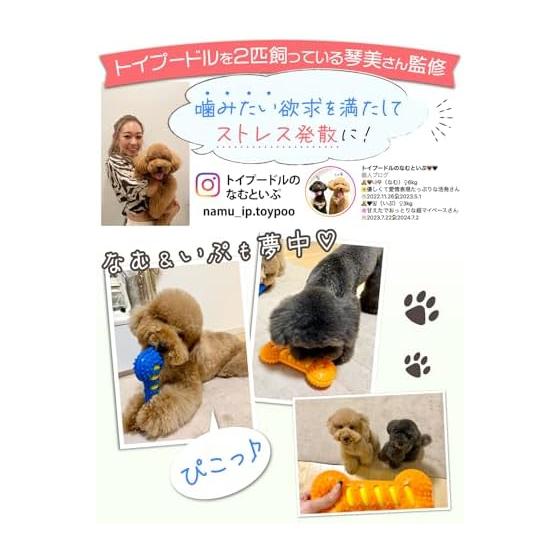 [Supervised by a dog lover with 2 Toy Poos] Dog toy "Gaziru Bone" Type that makes an x sound for children who like chewing x Washable (Orange)