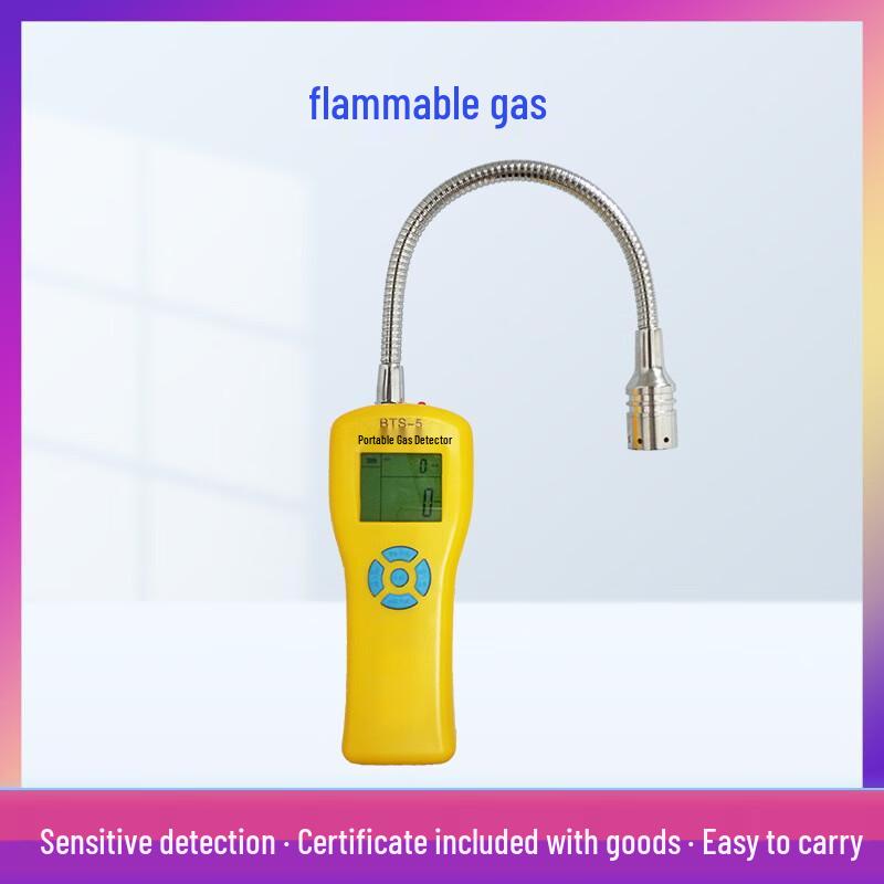 Industrial Combustible Gas Detector CN plug (adapter included)