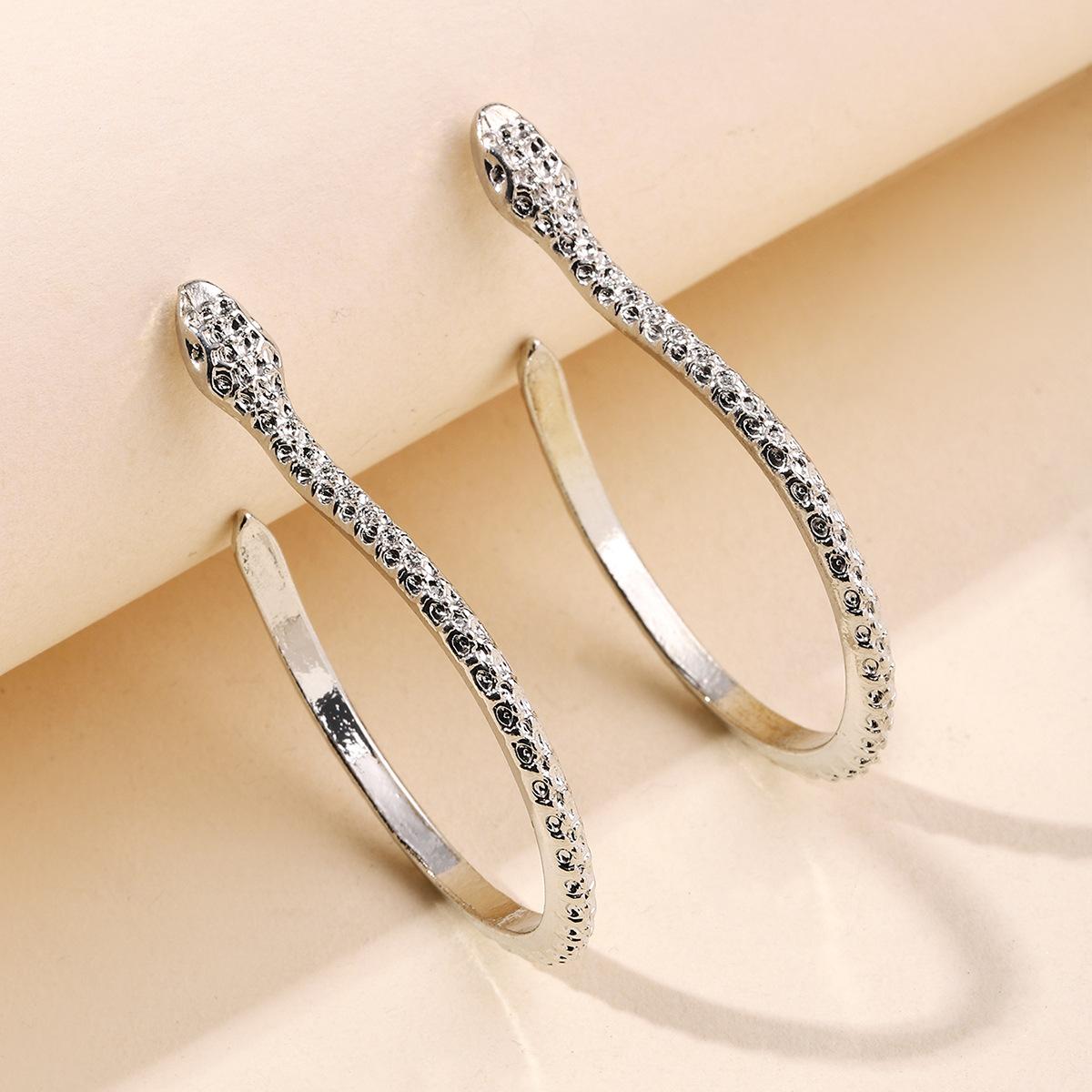 

Серьги-подвески в виде змеи, панк-персонаж, передние и задние серьги, модные и простые женские украшения