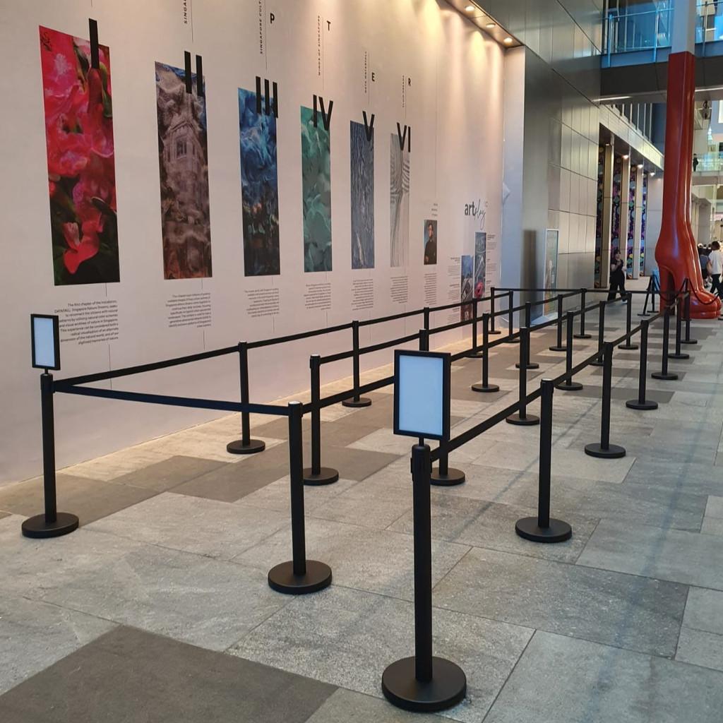 Extra Thick Stainless Steel Black Queue Pole Indoor And Outdoor Signage Crowd Control Barrier Pole