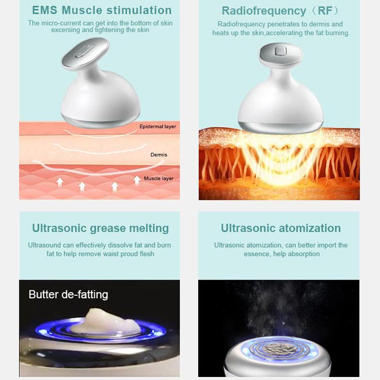 Face Massager Body Massager Face Lift Body Slim Ultrasonic Vibration Massage EMS Microcurrent RF Radiofrequency LED Phototherapy