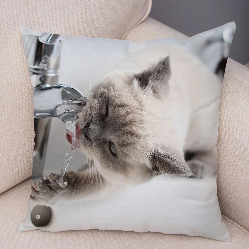 

Russian Blue British Shorthair Cushion Cover Decor Cute Cat Pet Animal Pillowcase Soft Plush Pillow Case for Car Sofa Home 12x12Inch
