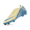 Cheetah sports professional nail men's training low-top new assassin football shoes competition long nail broken football price