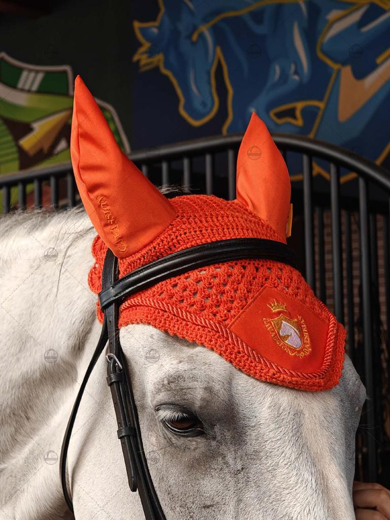 Six-Piece Equestrian Set: Ear Covers, Saddle Pads, Leg Wraps, Halters, Lead Ropes, and Matching Tack