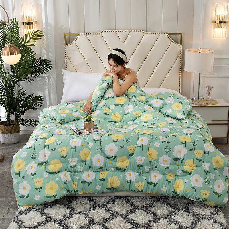 Brushed Thickened Warm Polyester Winter Duvet 220x240cm, 6 Jin