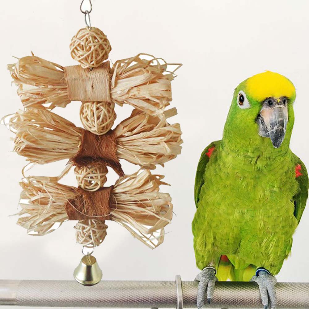 parakeet bird supplies