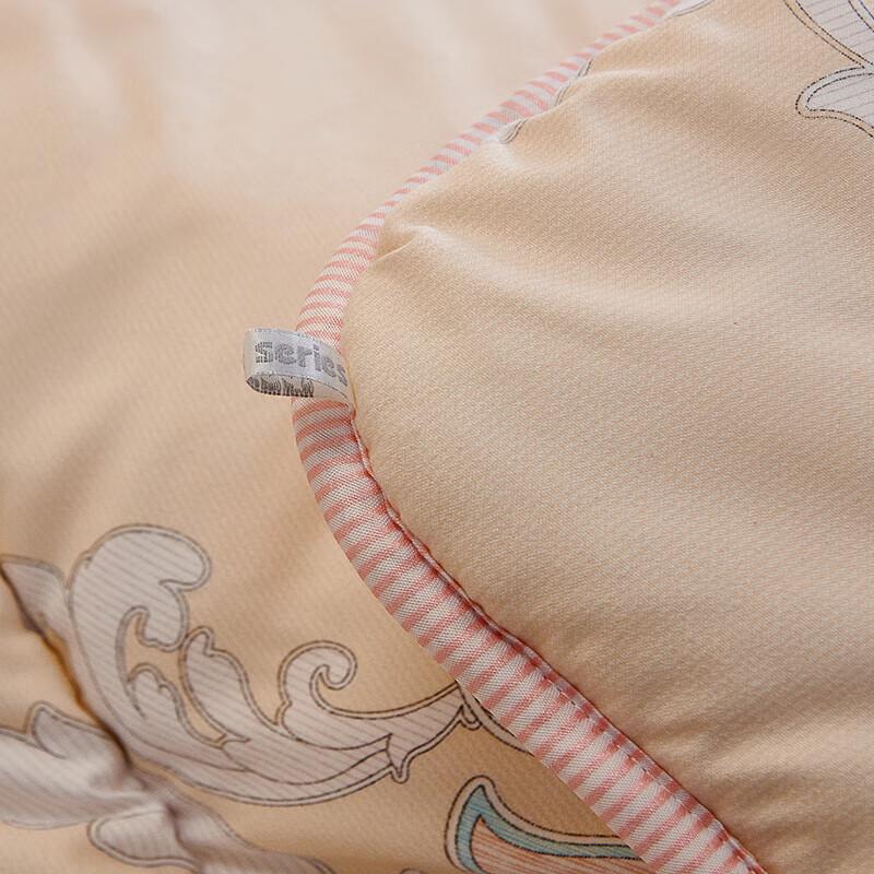 Yalu Elegant Feather Velvet Quilt