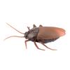 Remote Control Cockroach Toy Fake Crawling Prank Gadget for with Infrared Control for Halloween Christmas Day