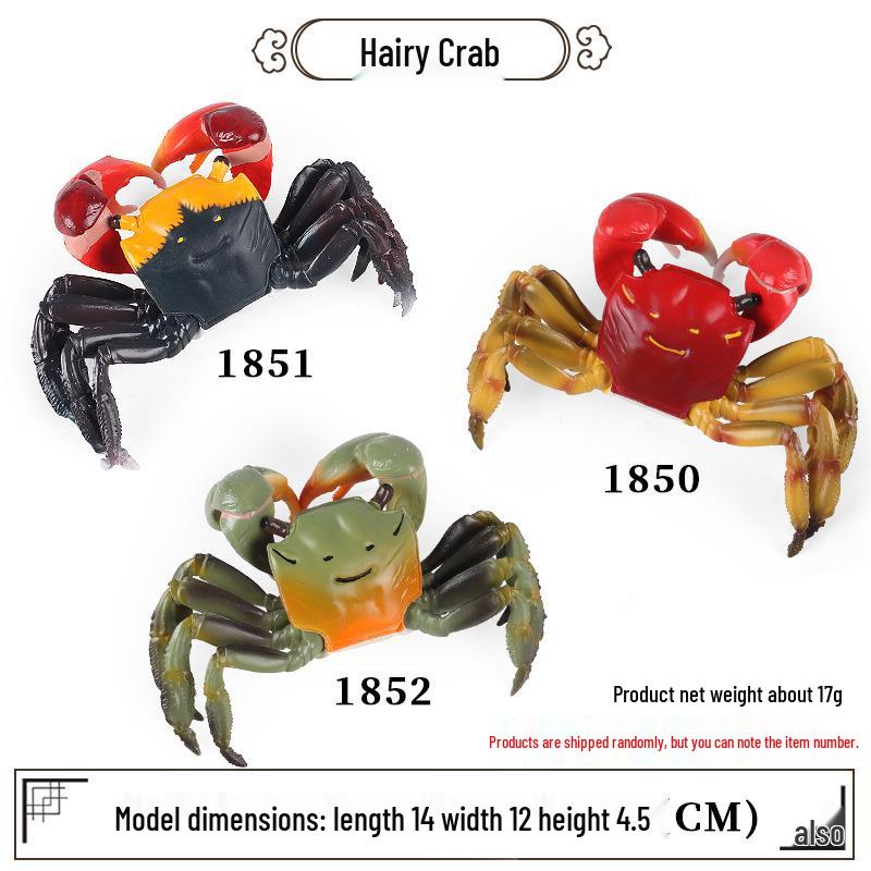 Ocean Crab Simulation Toy Set: Includes Hermit, Swimming, and Three-Spot Plastic Models