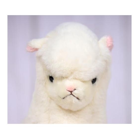Takeoff Plush Sunny Farm Alpaca Ivory