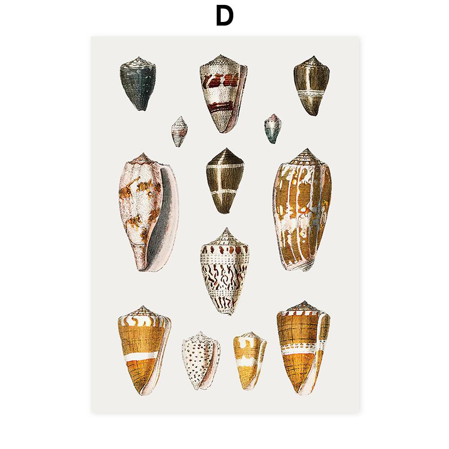 Vintage Marine Life Shrimp Shells Wall Art Poster Canvas Decorative Printing Art Prints Nordic Mural Living Room Home Decoration