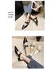 Women's 2025 Summer Korean Style Pointed Toe Closed Slippers with Belt Buckle & Chunky Heel