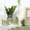 Green Gradient Unglazed Ceramic Flower Pot with Tray - Breathable Terracotta for Indoor or Balcony Orchid and Ivy Plants
