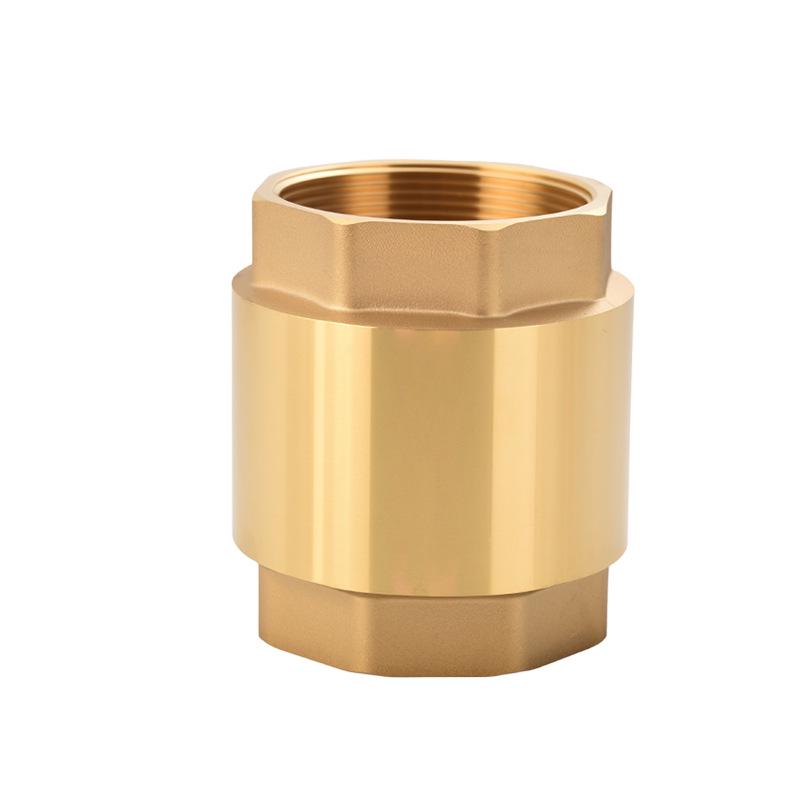Brass One-Way Lift Check Valve & Backflow Preventer for Water Systems