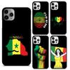 Senegal Fahne Handyhülle Cover Für iPhone 17 Air 16 15 14 plus 11 12 13 pro max Hülle Shell Fundas