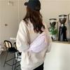 Trendy Korean Casual Commuter Crossbody Waist Bag For Fall 2024 In Cute Soft Colors