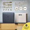 King Jim Document Quickly Organize Document File with File, Lid, A4, Beige, 2290-BE