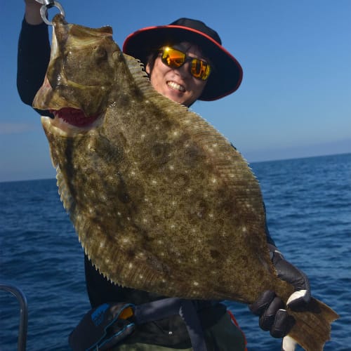 Hayabusa Funagoku Kuiase Sabiki Drop Keimura & Holoflash 6 Tough Grunts SS426 10-10-10