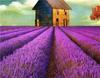 RUOPOTY Painting By Number Lavender Landscape Handpainted Unique Gift Picture Coloring By Numbers Balloon Children's Room Decor