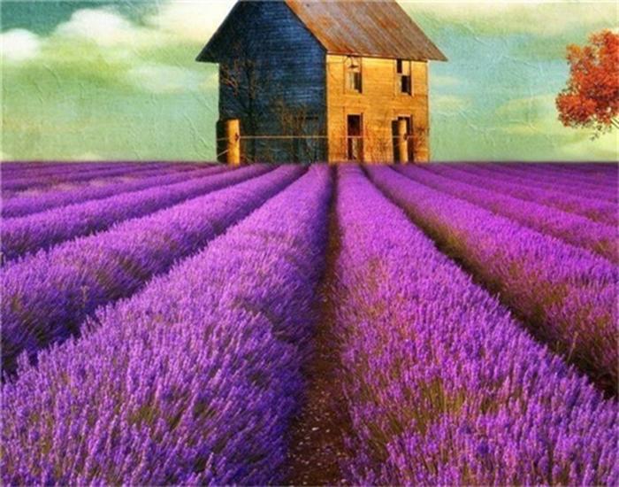 RUOPOTY Painting By Number Lavender Landscape Handpainted Unique Gift Picture Coloring By Numbers Balloon Children's Room Decor