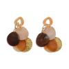 European and American coffee color geometric resin earrings, personalized versatile niche temperament earrings, light luxury high-end earrings, women