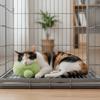 Fluffy Rabbit Calming Ball Bite Resistant Rabbit Soothing Toy Rabbit Fur Ball  Playing