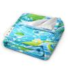 Frutiger Aero Blanket  Travel Flannel Throw Blanket For Couch Chair Warm Soft Design Quality Bedspread Birthday Present
