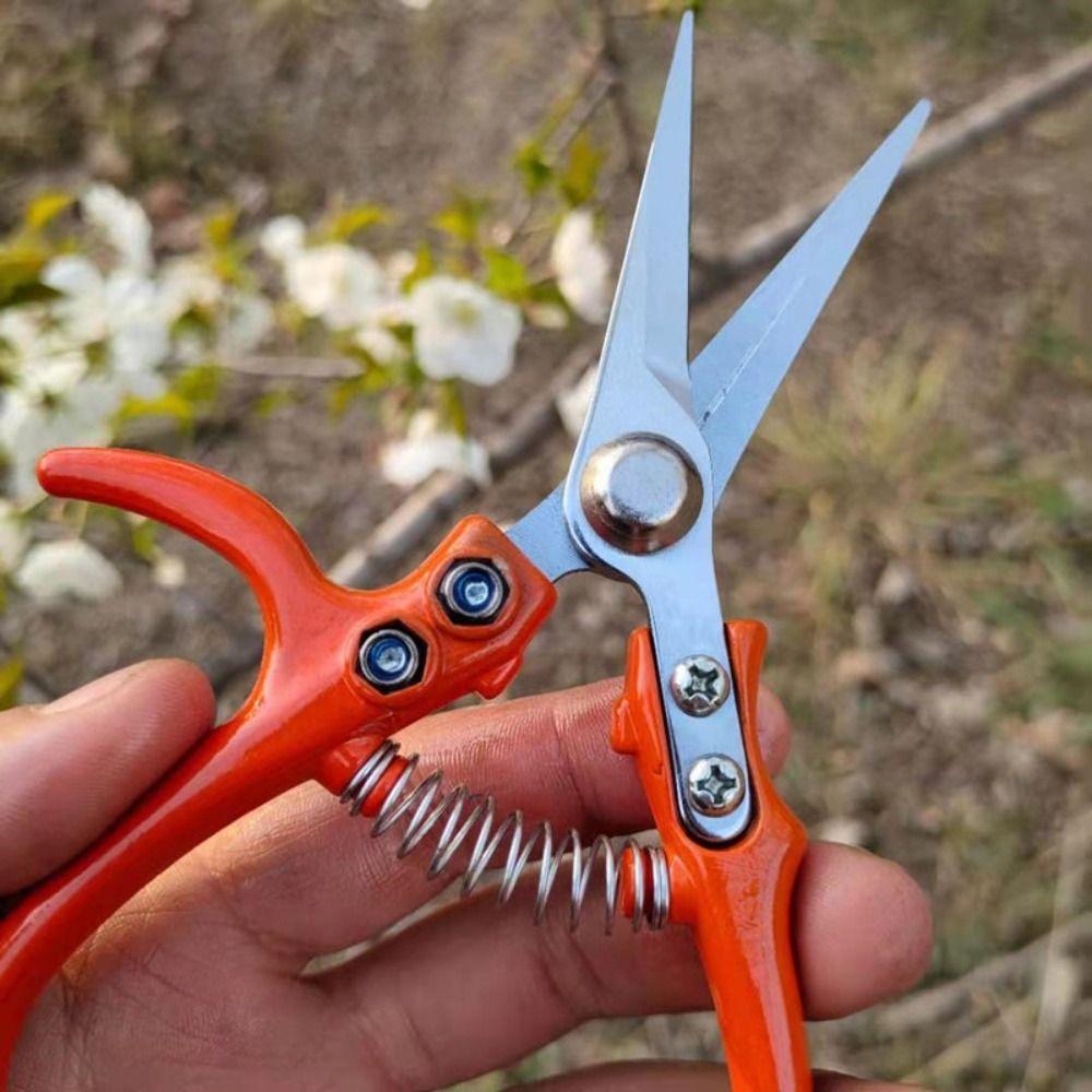 Straight Fruit Picking Scissors with Safety Buckle Plant Cutter Flower Scissors Pruning Shear  home
