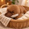 Bebek ve Peluş Oyuncaklar – Doldurulmuş ve Peluş oyuncak hayvanlar
