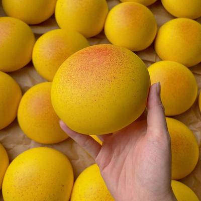Stress Relief Toy Soft Bread Shape Squeeze Toys Anxiety Fidgets Slow Rising Cheese Toys Collection Gifts for Kids