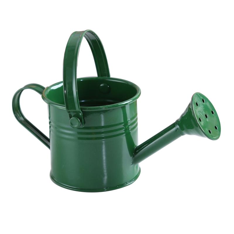Mini Gardening Water Pot with Handle Tote Candy Color Metal Planting Pot for Kids Small Portable Indoor Watering Dropshipping