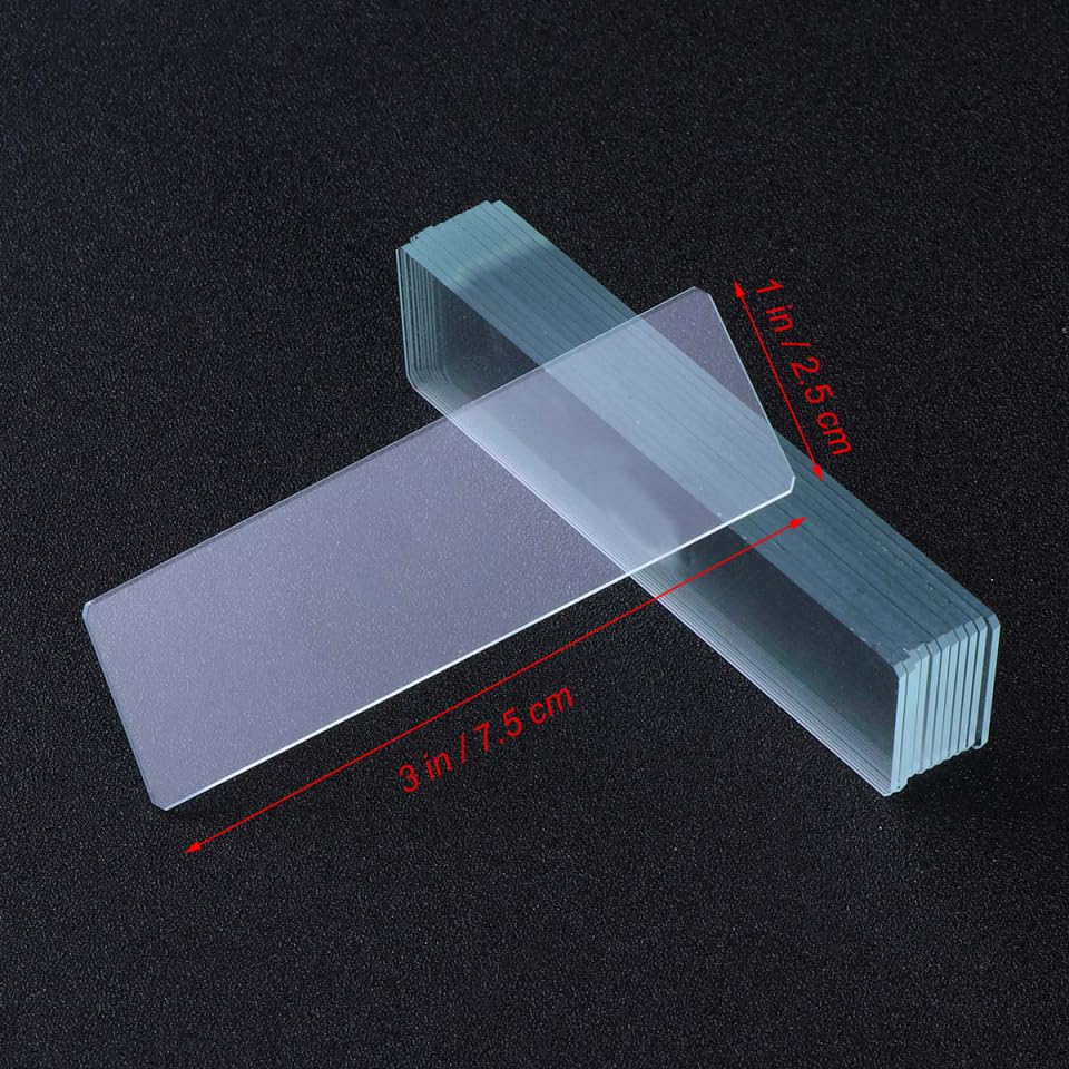 Set of 12 Microscope Glass Precision Optical for Specimen Biological Science and Observation X X Cm Slides, Polished, Glass, Preparation, Education,