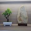 Garden Arrangement Room Decoration Plastic Plants Bonsai Small Tree Pot Fake Plant Potted  Yard Room Garden Decoration Outdoor