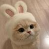 Halloween & Easter Influencer Pet Costume: Rabbit Ear Headgear for Cats & Dogs