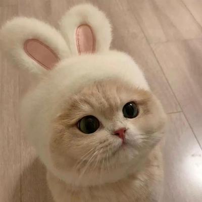 Halloween & Easter Influencer Pet Costume: Rabbit Ear Headgear for Cats & Dogs