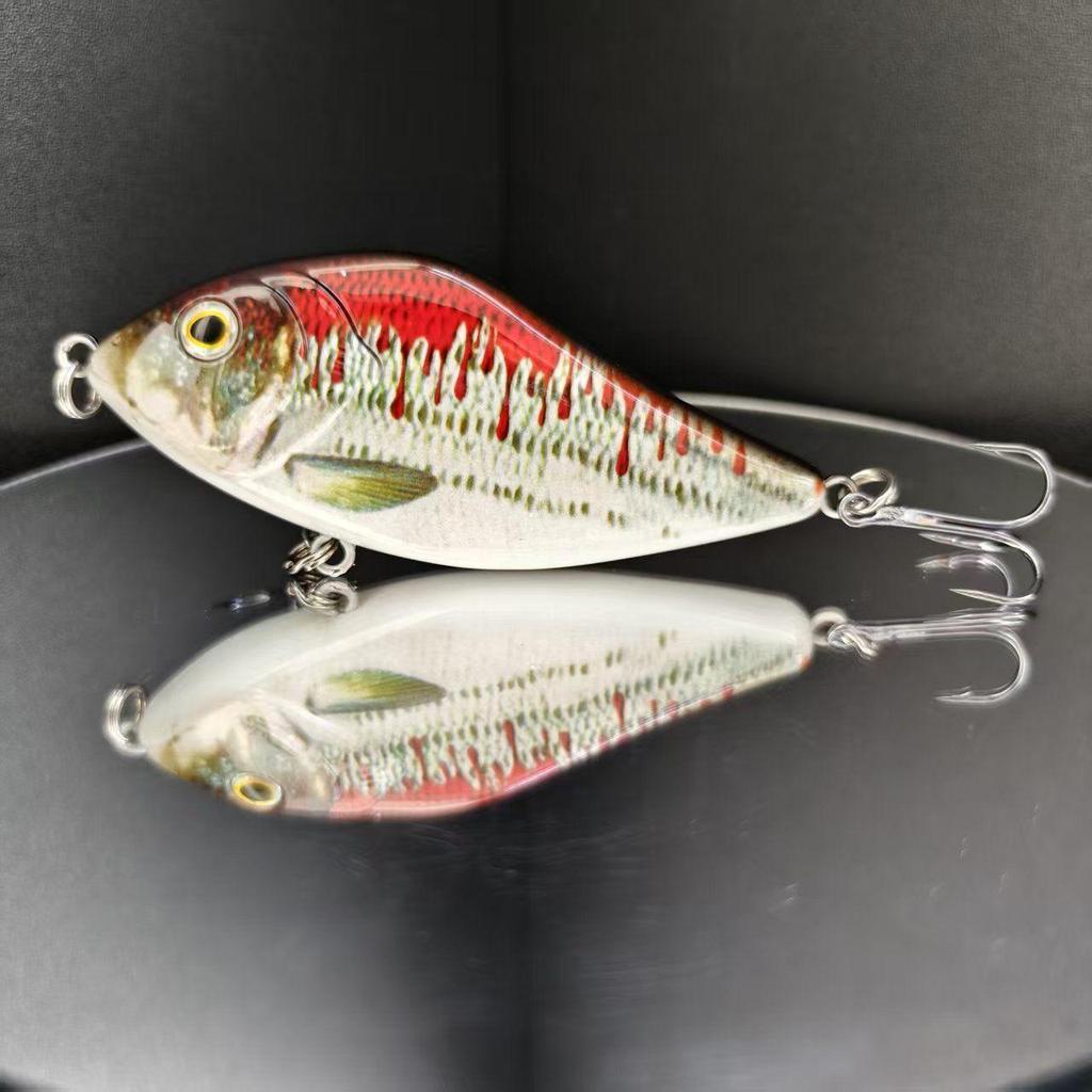 10cm 45g Sinking Pike Jerkbait – The Ultimate Predator Lure,Suitable for Both Saltwater and Freshwater
