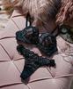 Nozari Bra Series Easy Stretch Lace Bra Black x Pink [Fit Fit] (Single Item) Women's, 57-34-24-1543,