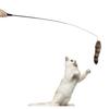 Retractable Cat Wand Stick Toy with Soft Tail Handle for Interactive Cat Play 95cm