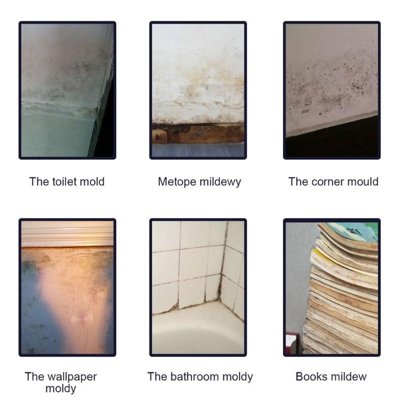 100g Mould Cleaning Liquid Wall Mold Remover Mold Cleaning Bathroom Kitchen Cleaning Effective Mildewy Removal Liquid