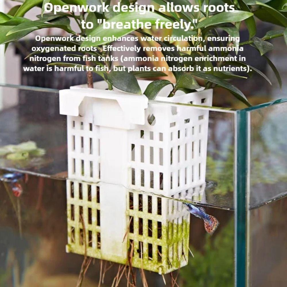 Adjustable Height Aquarium Plant Holder Transparent Extendable Hook Aquaponic Cultivation Holder Suction Cup