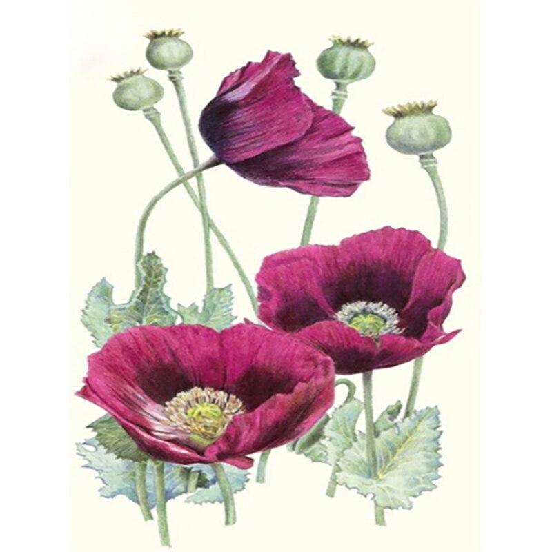 

DIY полный круглый 5D алмазная живопись Пейзаж Цветочный Алмазная вышивка Мозаика вышивка крестиком цветок мака домашний декор подарок Full Round 20x30CM