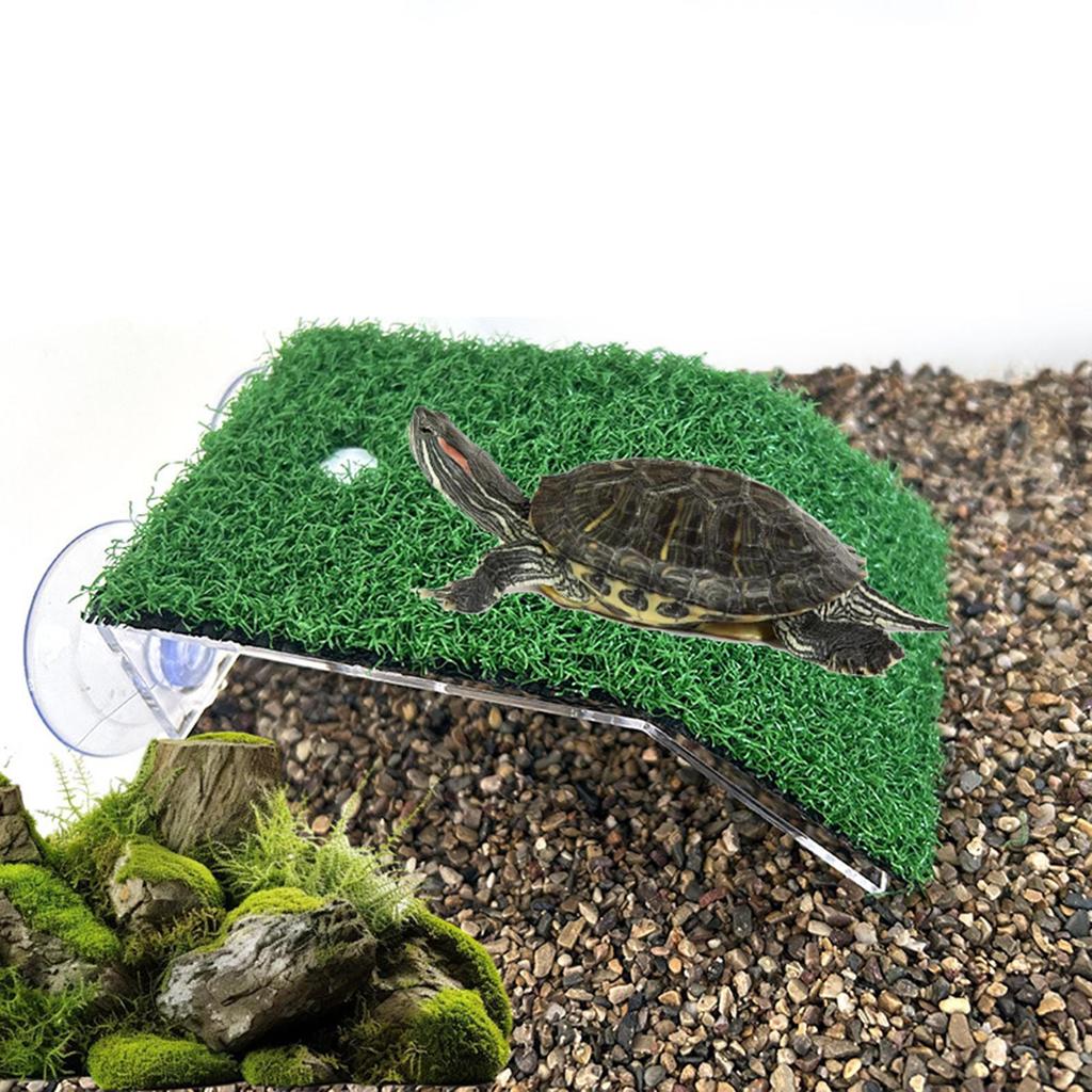 Plateforme de Baignade pour Tortue Reptile Aquarium Échelle Quai pour Tortue Rampe en Gazon Artificiel pour Grenouille Tortue de Terre