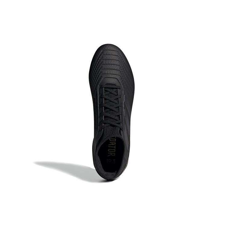 adidas Predator 19.3 Fg 'Core Black' F35594