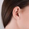 Korean Version Of Simple 316l Stainless Steel Fashion Round Personality Mini Earrings 