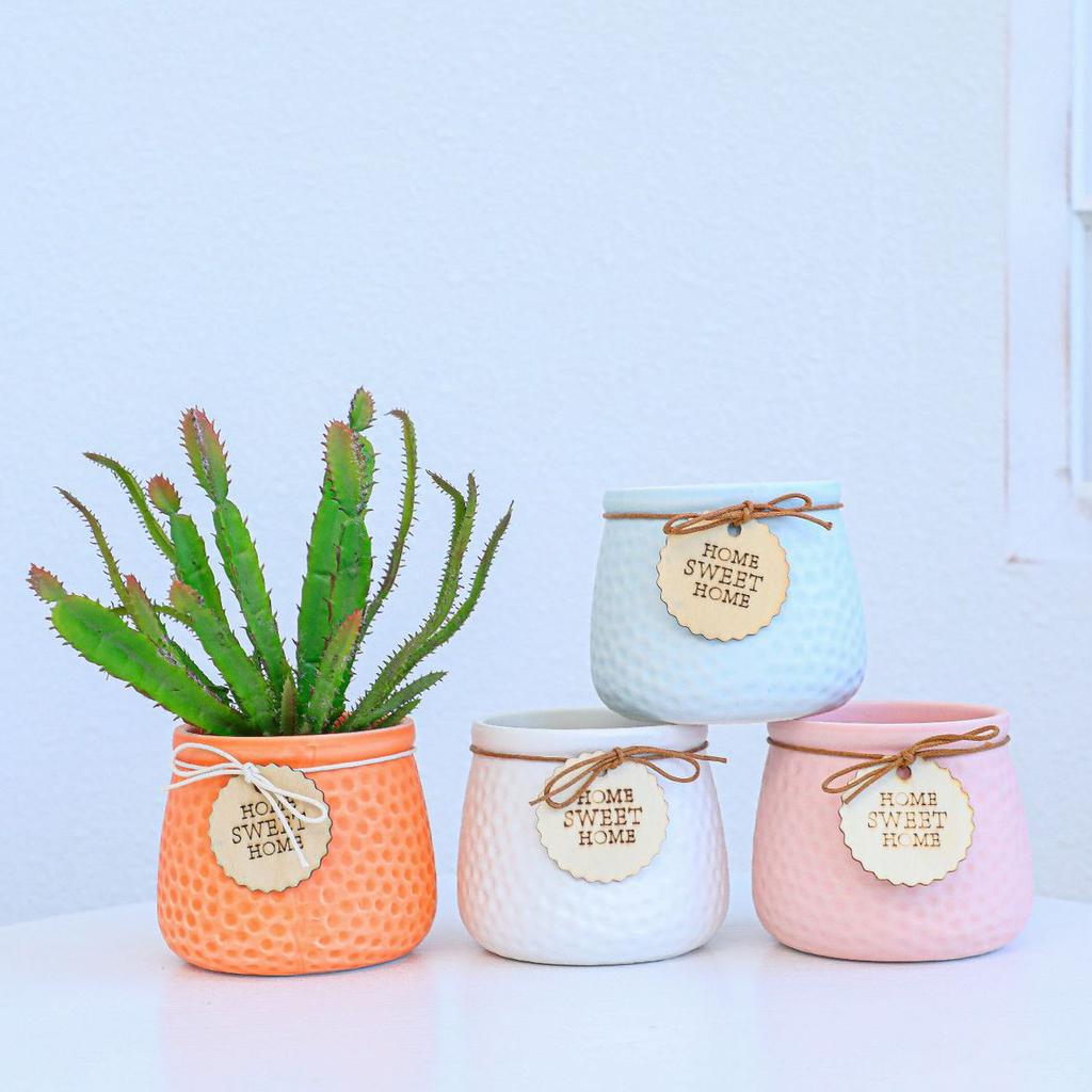 Ceramic Colorful Flower Pot Succulent Pot Plant Pot Planter Bonsai Home Decor Garden Decoration Desktop Ornaments